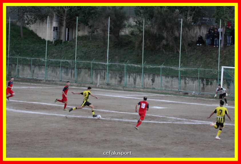 181111 Cepha_Milazzo 315_tn.JPG